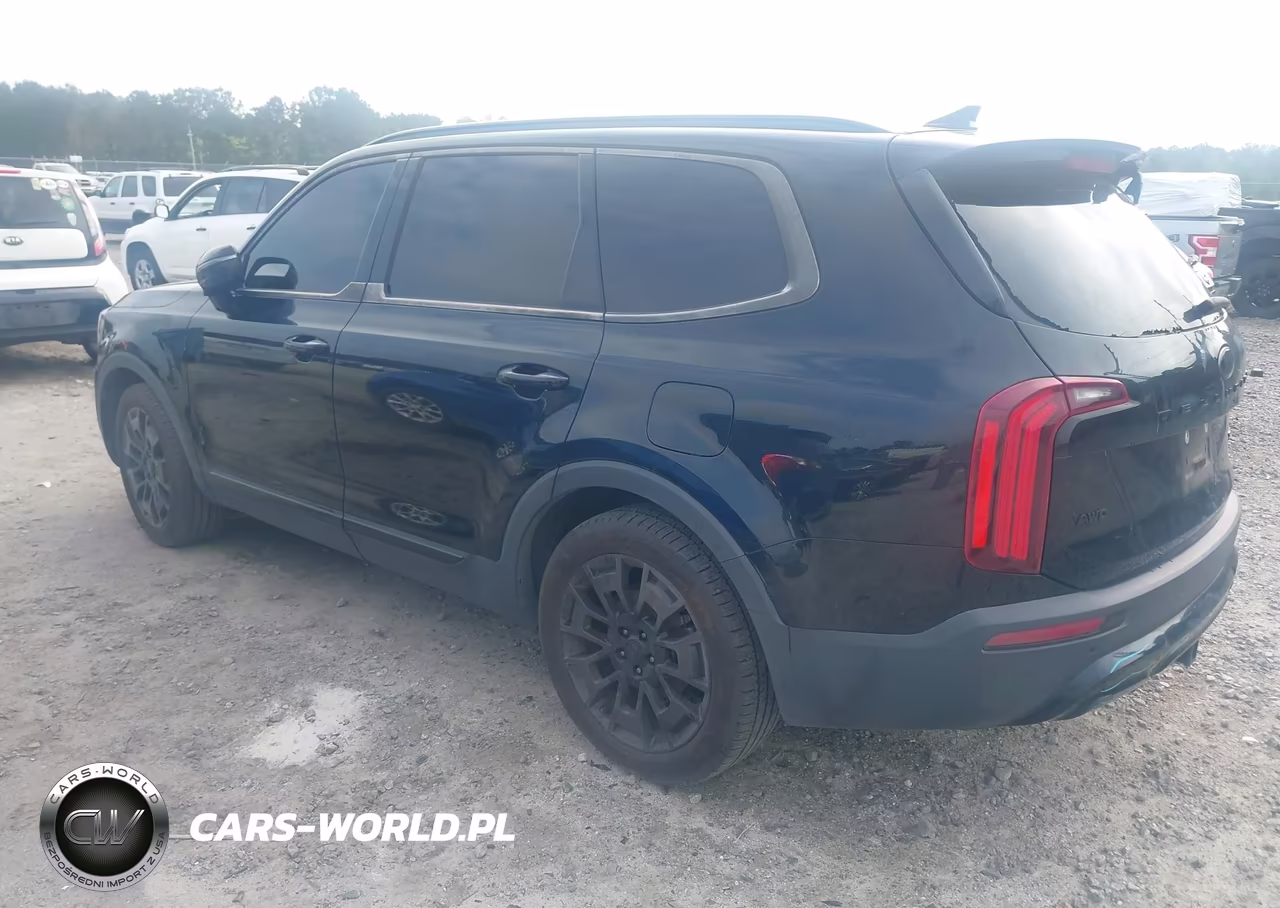 2021 Kia Telluride Sx VIN:5XYP5DHC1MG134618 - 3