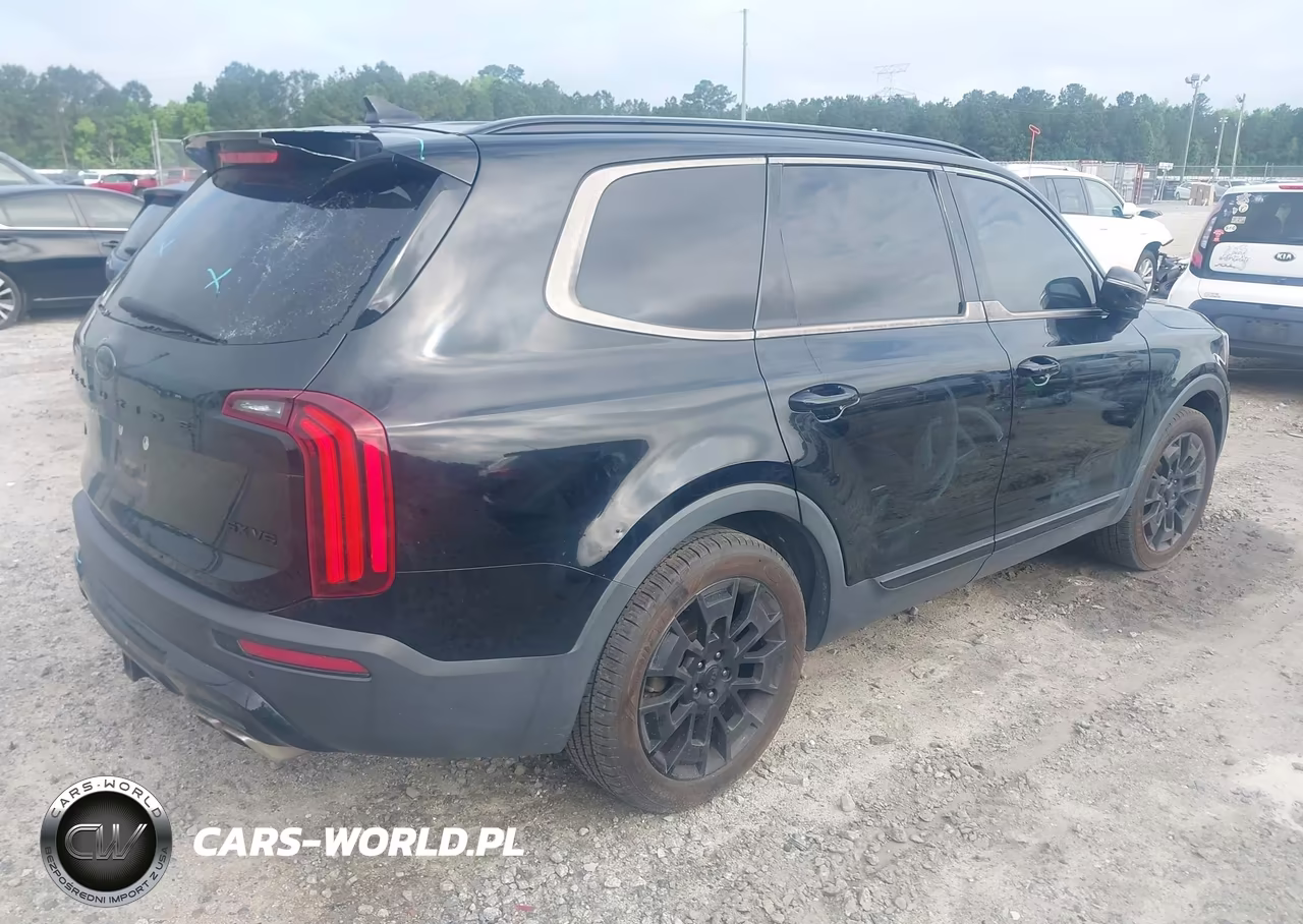 2021 Kia Telluride Sx VIN:5XYP5DHC1MG134618 - 4