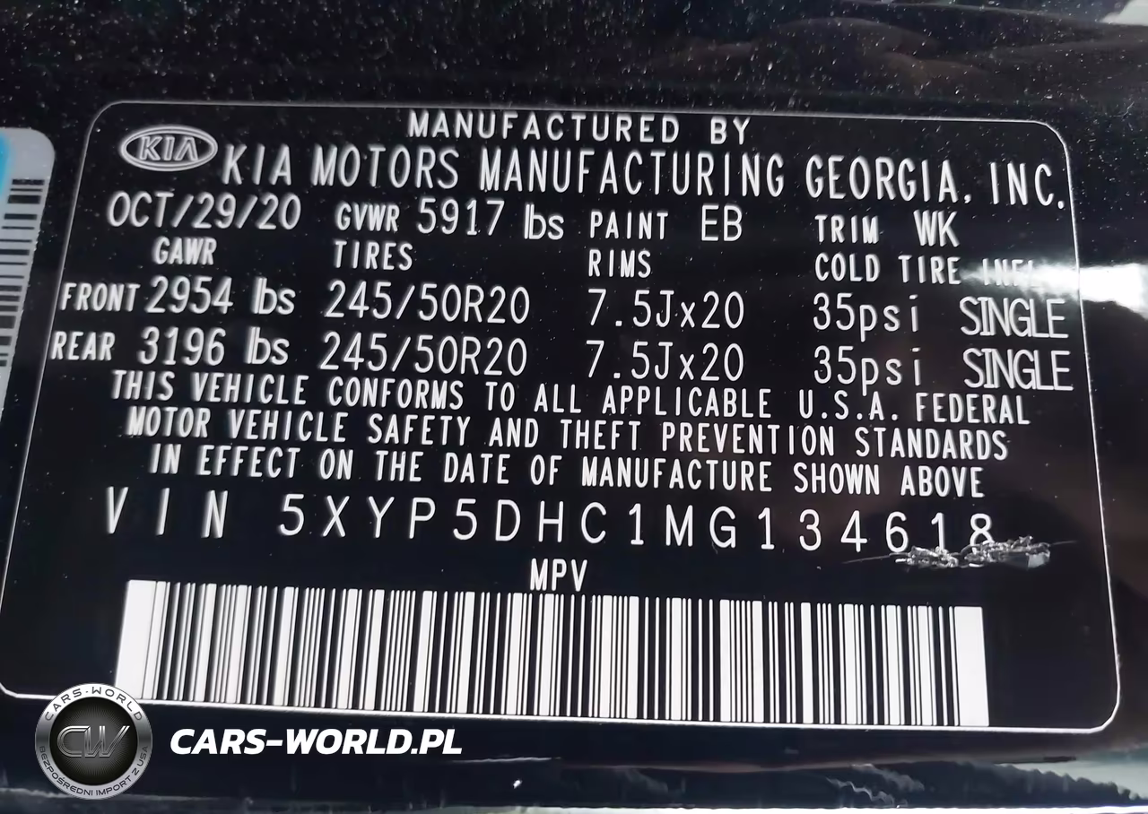 2021 Kia Telluride Sx VIN:5XYP5DHC1MG134618 - 9