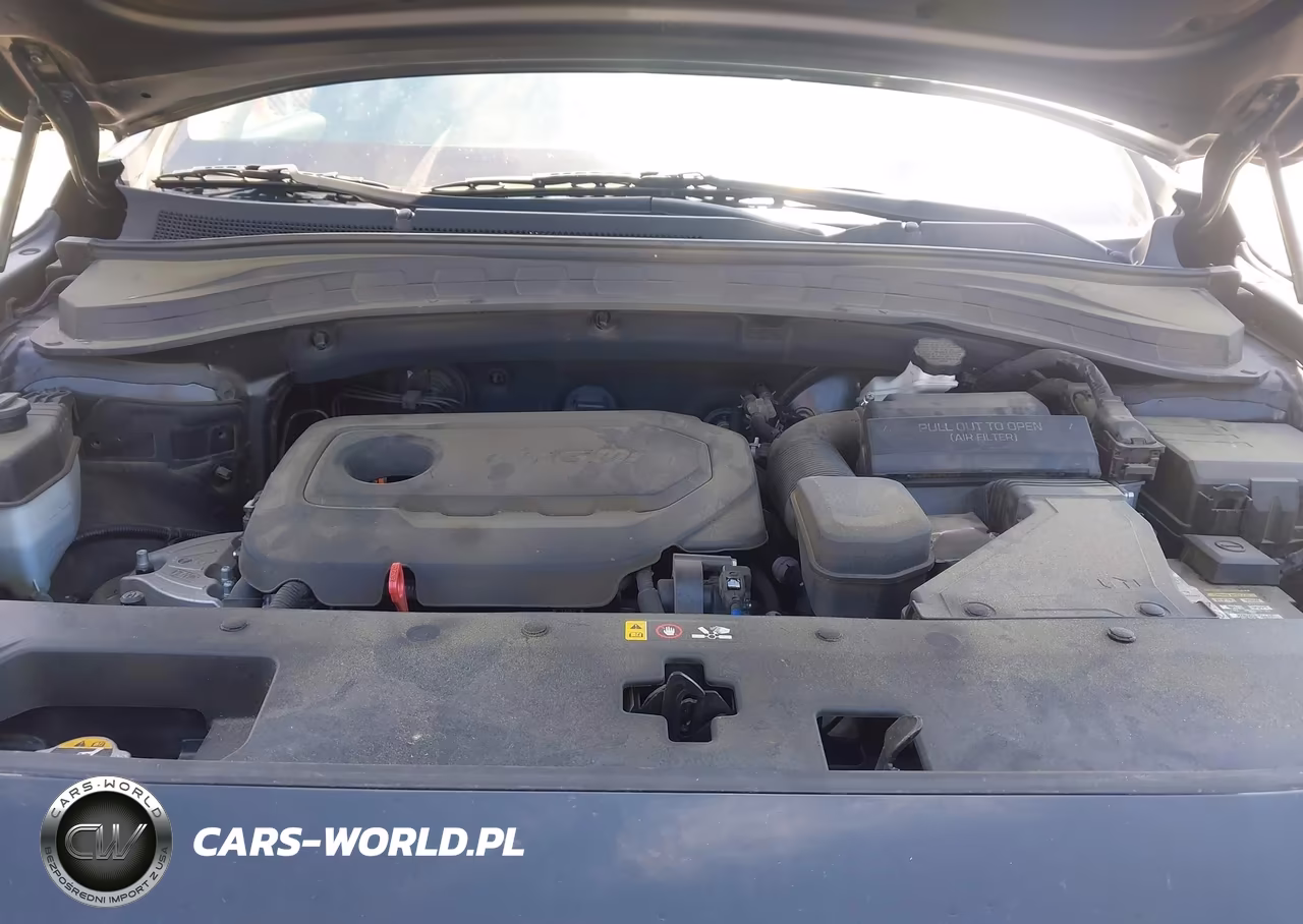 2019 Hyundai Santa Fe Ultimate VIN:5NMS53AD3KH029511 - 10