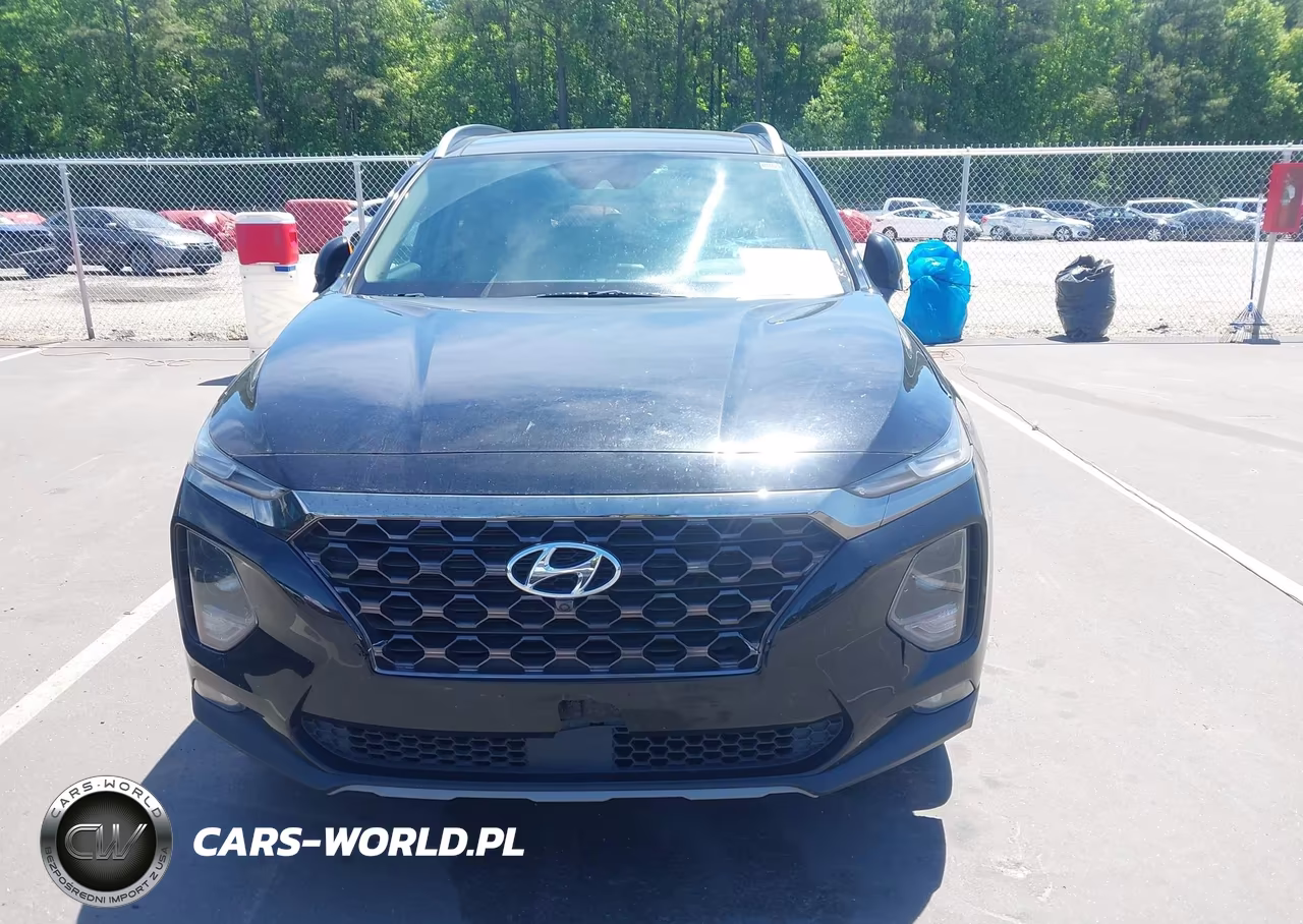 2019 Hyundai Santa Fe Ultimate VIN:5NMS53AD3KH029511 - 12