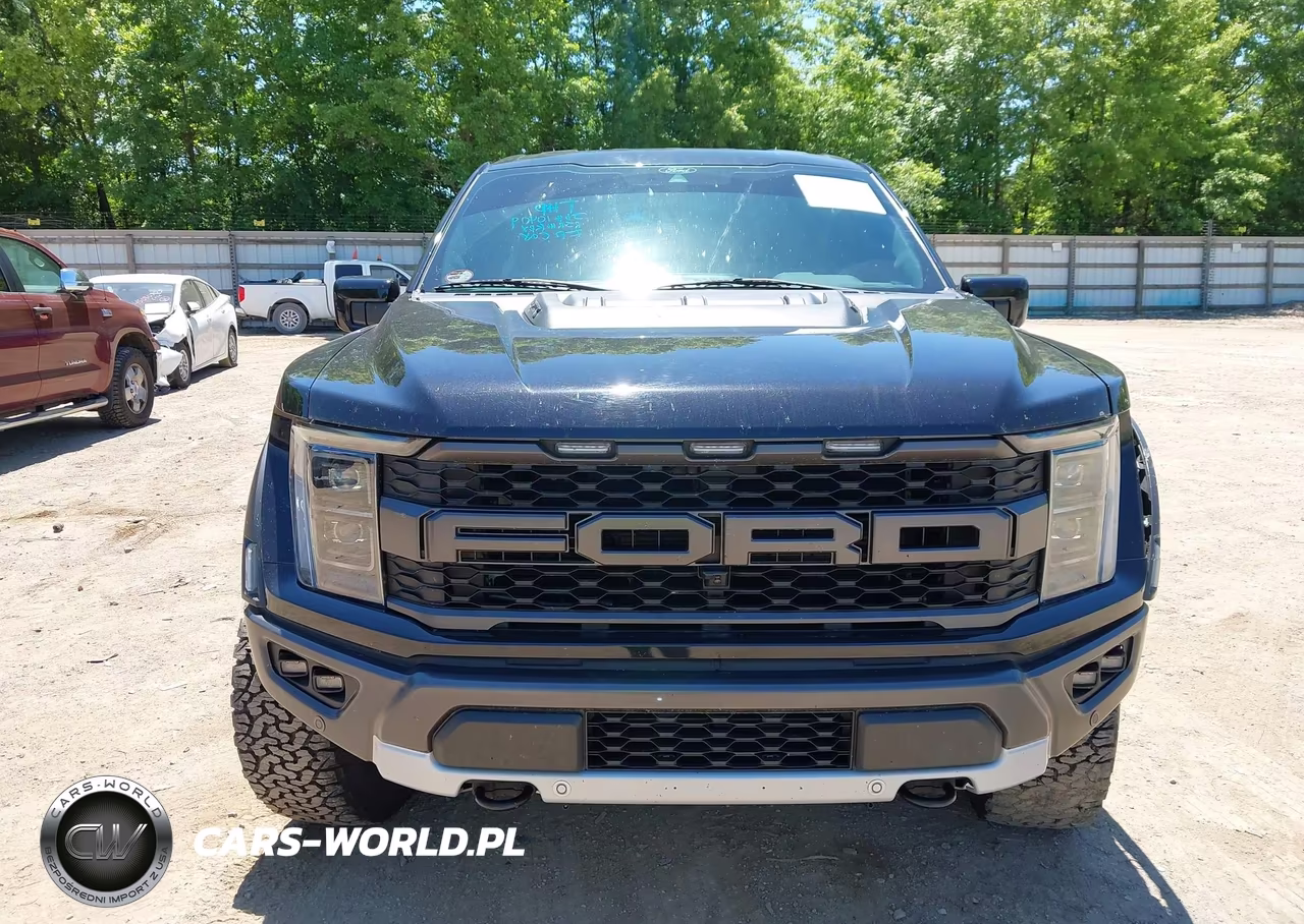 2021 Ford F-150 Raptor VIN:1FTFW1RG2MFC19950 - 12