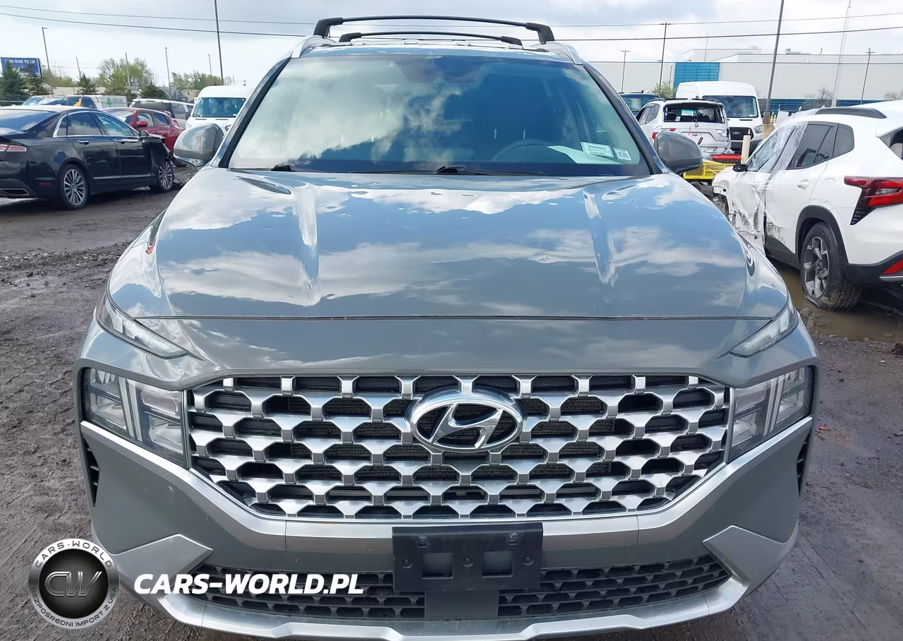 2021 Hyundai Santa Fe Sel VIN:5NMS2DAJ8MH349642 - 12