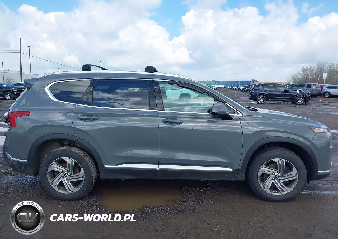 2021 Hyundai Santa Fe Sel VIN:5NMS2DAJ8MH349642 - 13