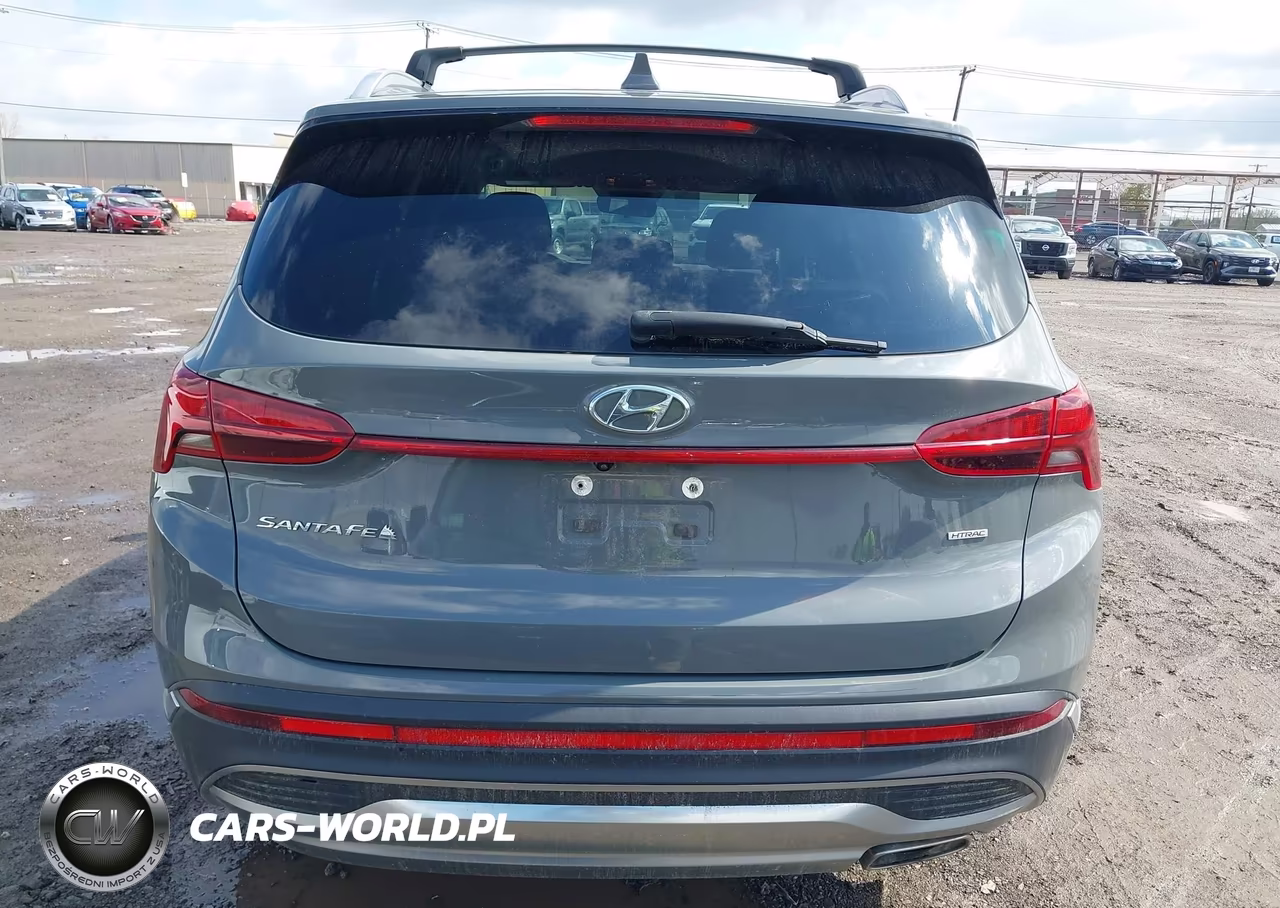 2021 Hyundai Santa Fe Sel VIN:5NMS2DAJ8MH349642 - 16