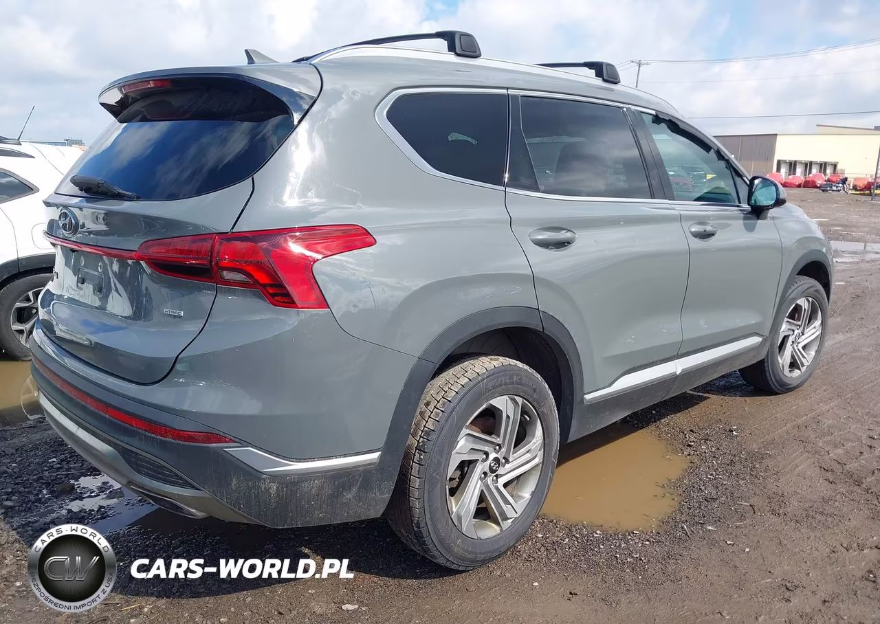 2021 Hyundai Santa Fe Sel VIN:5NMS2DAJ8MH349642 - 4