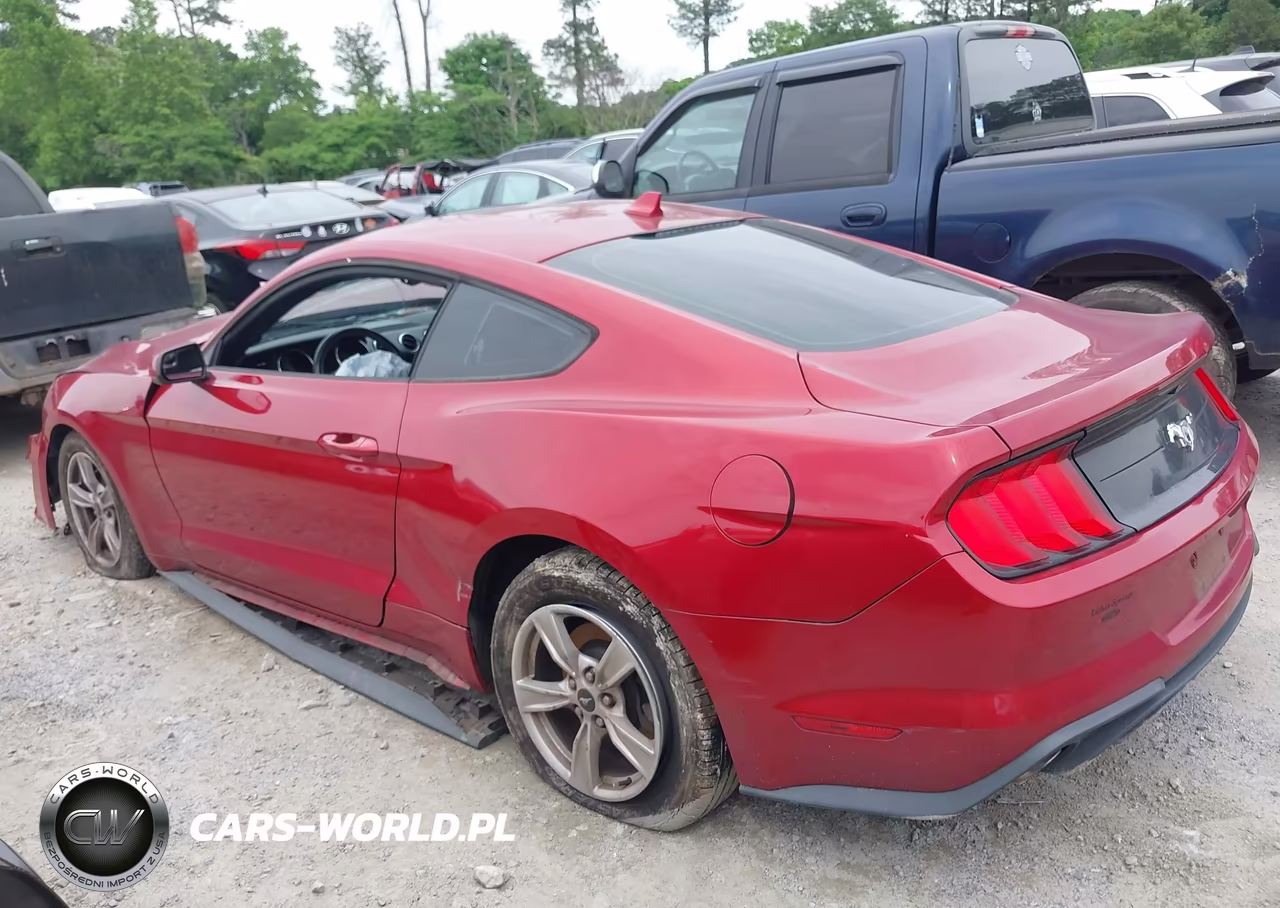 2020 Ford Mustang Ecoboost Fastback VIN:1FA6P8TH5L5190350 - 13