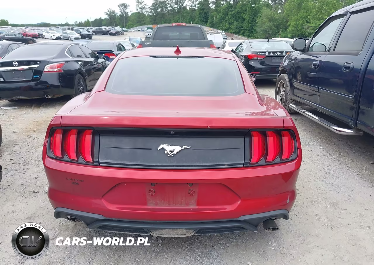 2020 Ford Mustang Ecoboost Fastback VIN:1FA6P8TH5L5190350 - 15