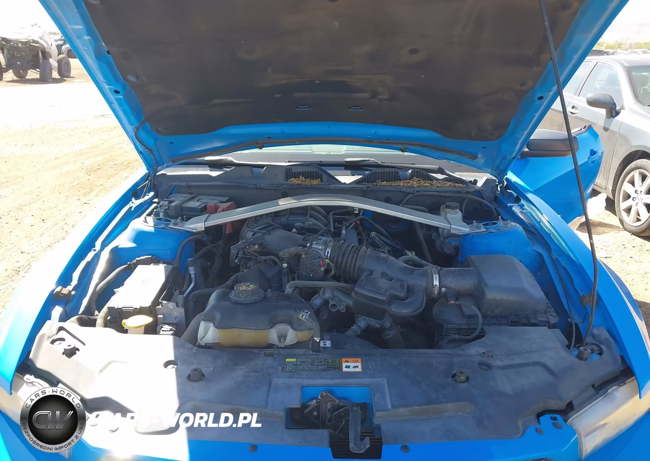 2011 Ford Mustang V6 VIN:1ZVBP8EM1B5155027 - 10