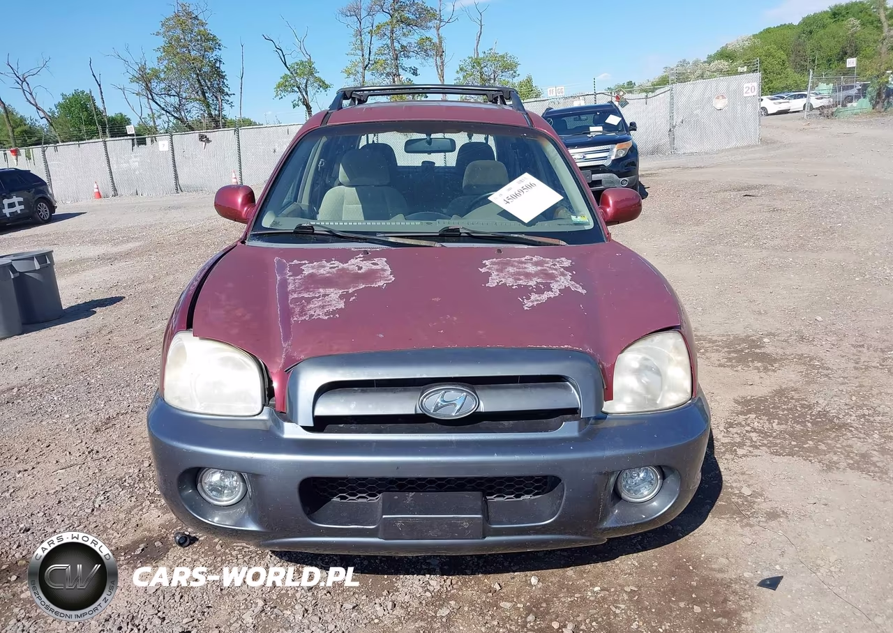 2005 Hyundai Santa Fe Gls VIN:KM8SC73D65U910089 - 12
