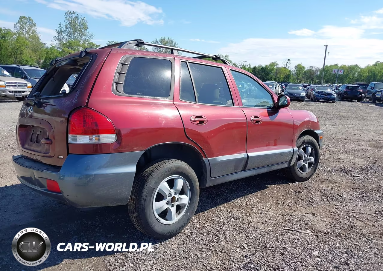 2005 Hyundai Santa Fe Gls VIN:KM8SC73D65U910089 - 4