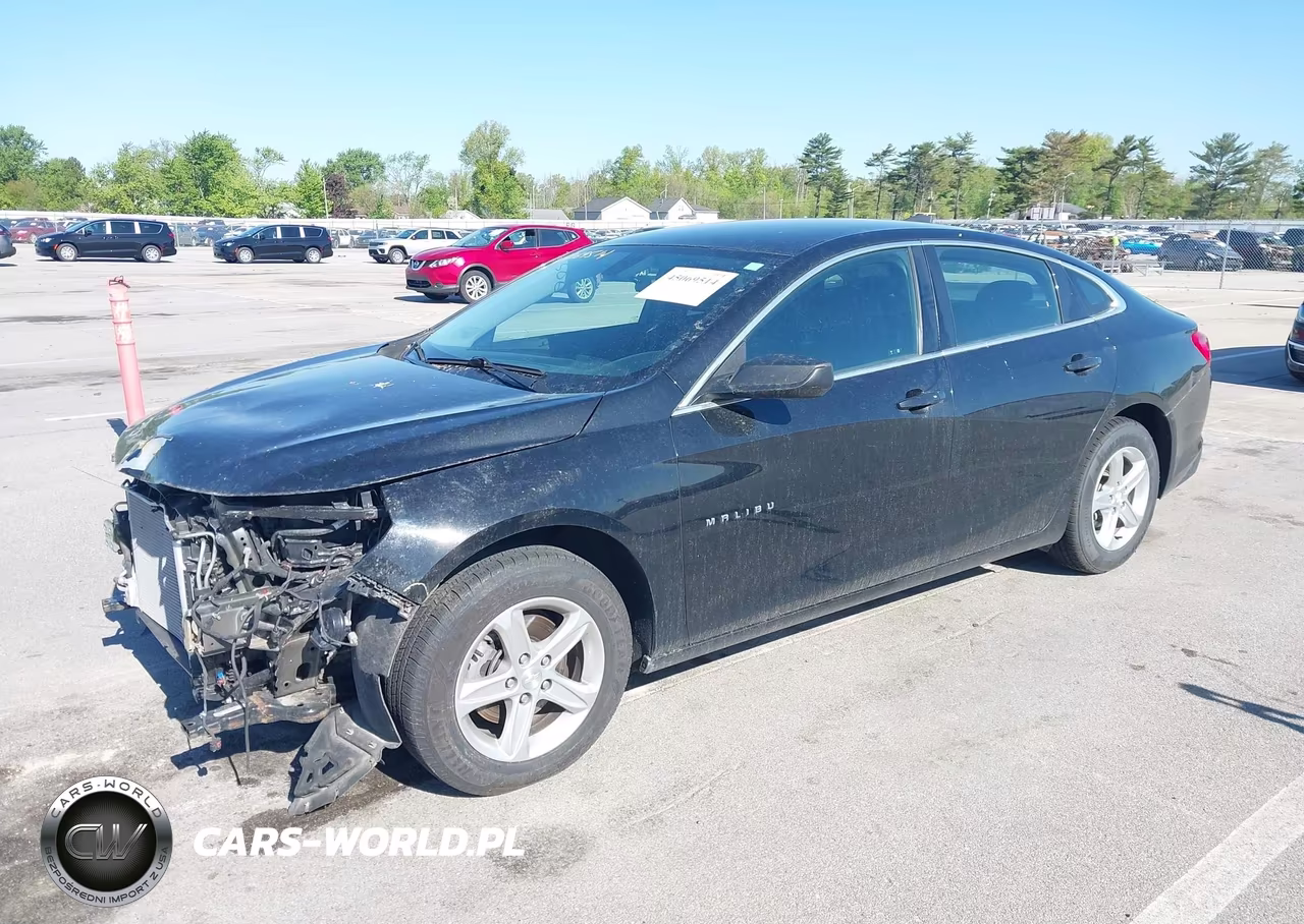 2020 Chevrolet Malibu Fwd 1Fl VIN:1G1ZC5ST1LF126915 - 2