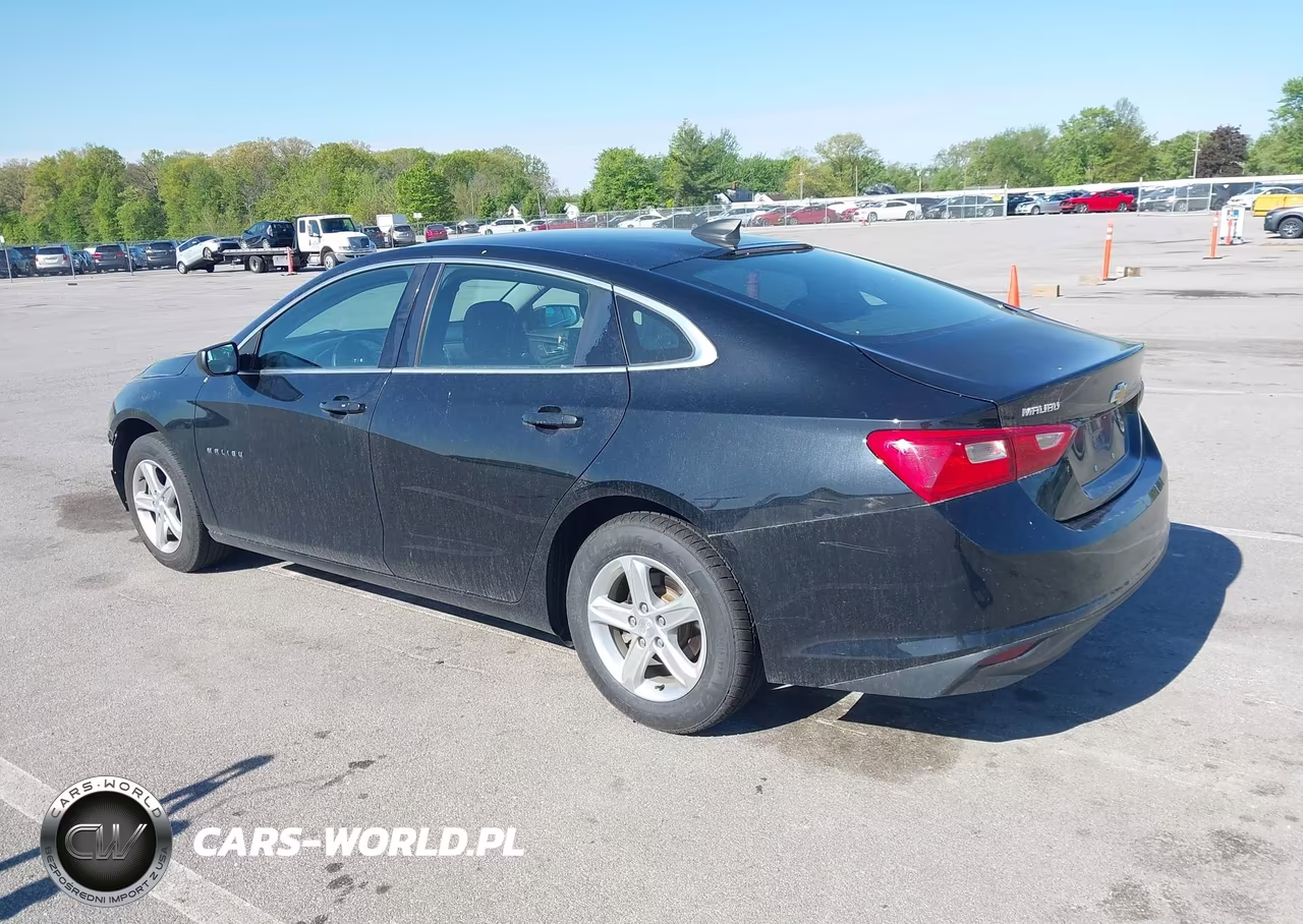 2020 Chevrolet Malibu Fwd 1Fl VIN:1G1ZC5ST1LF126915 - 3
