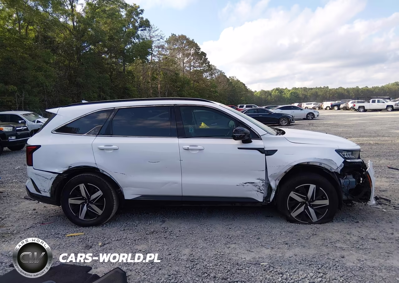 2021 Kia Sorento Ex VIN:5XYRH4LF0MG014388 - 13