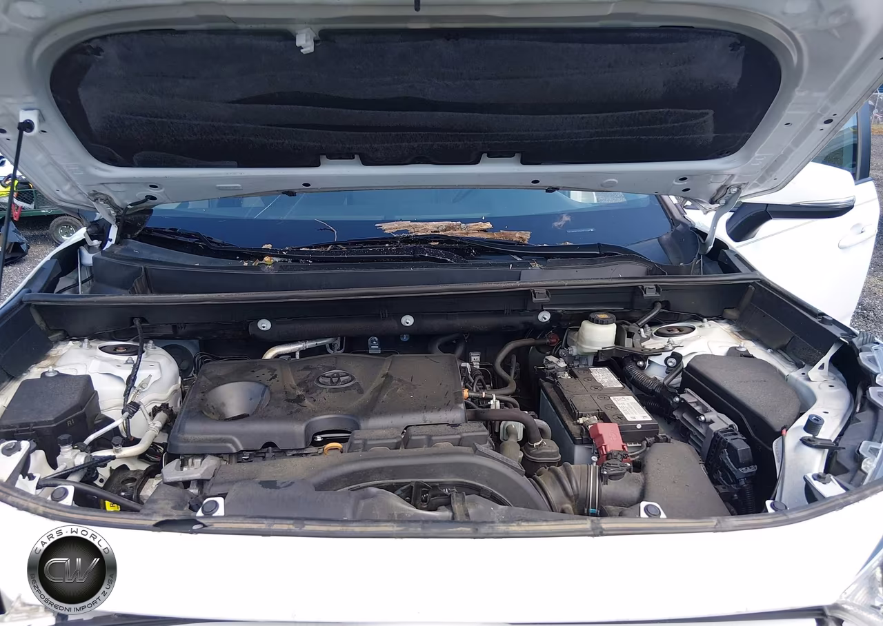 2020 Toyota Rav4 Xle VIN:2T3W1RFV5LC077799 - 10