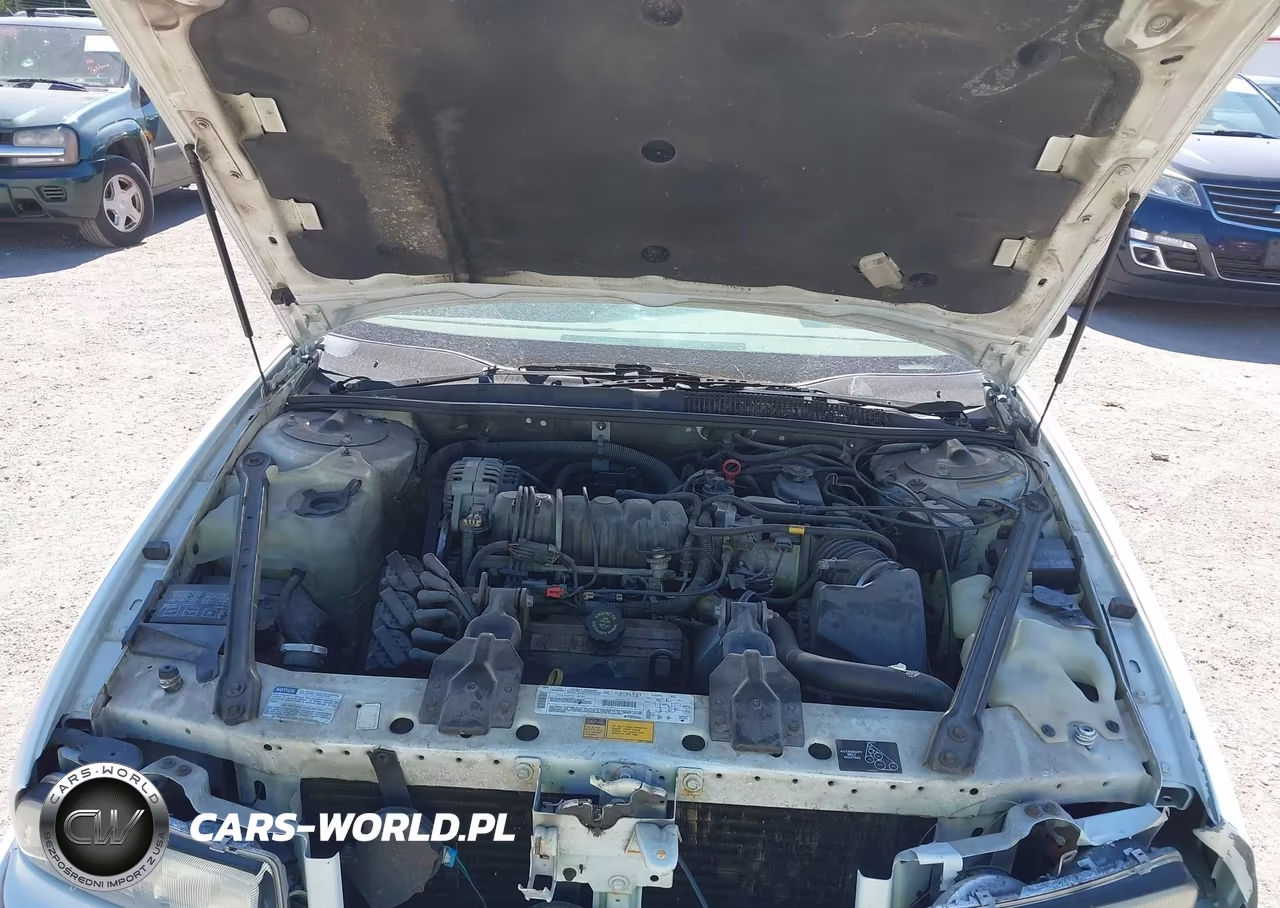 1996 Buick Regal Custom VIN:2G4WB52K7T1453102 - 10