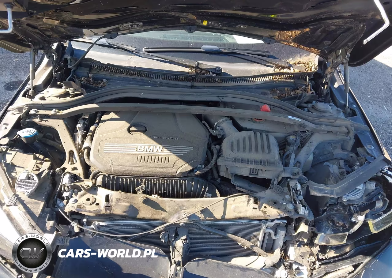 2021 BMW 228I Gran Coupe xDrive VIN:WBA73AK06M7H46152 - 10
