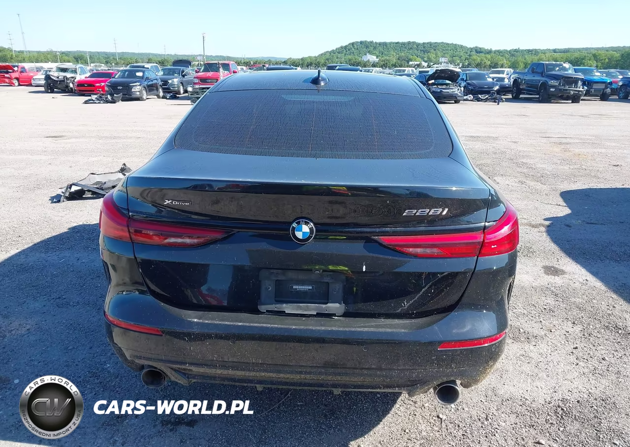 2021 BMW 228I Gran Coupe xDrive VIN:WBA73AK06M7H46152 - 19