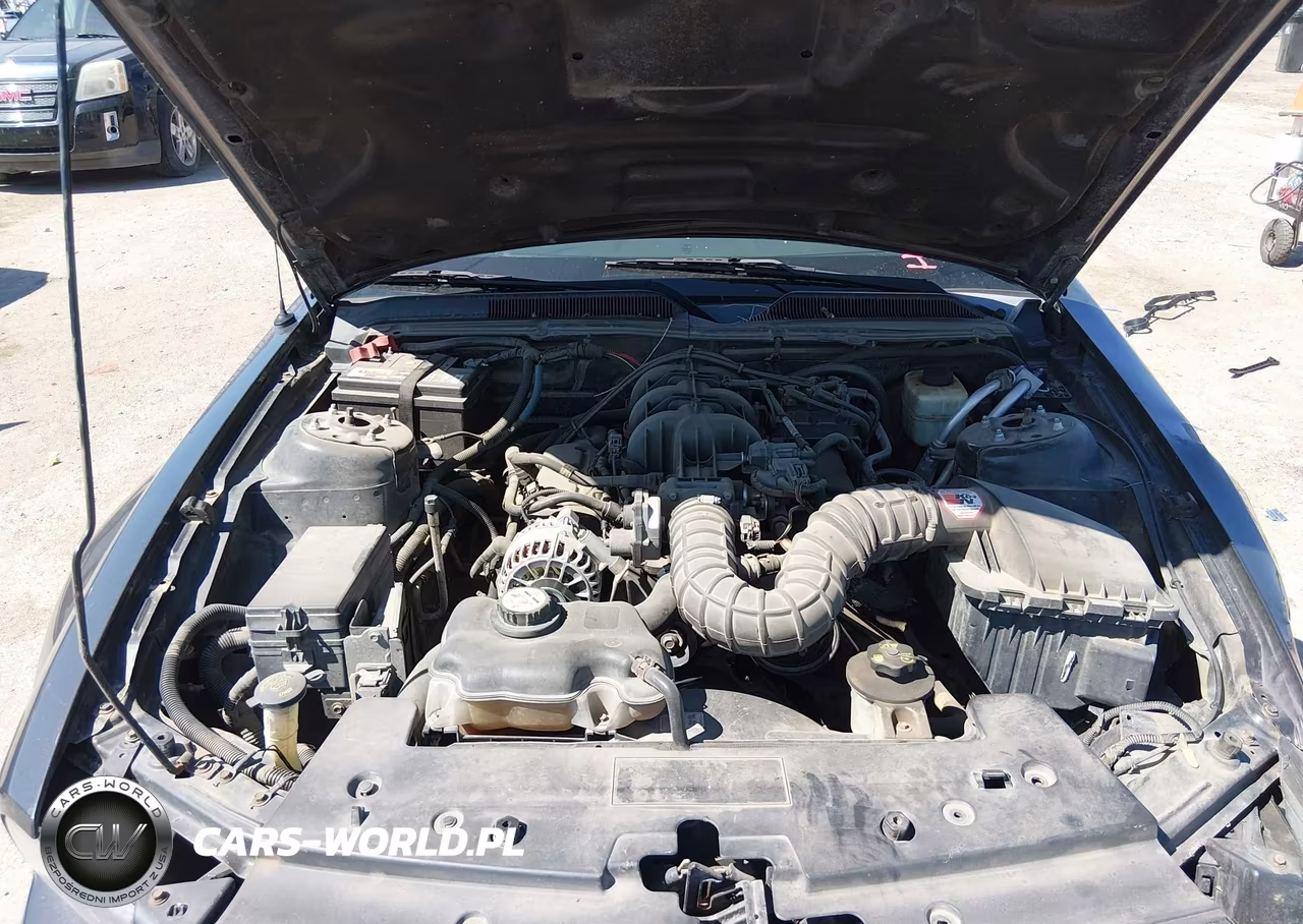 2008 Ford Mustang V6 Deluxe-V6 Premium VIN:1ZVHT80N585154672 - 10