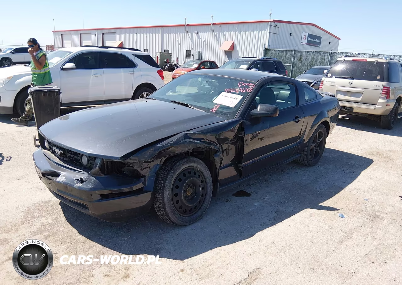 2008 Ford Mustang V6 Deluxe-V6 Premium VIN:1ZVHT80N585154672 - 2