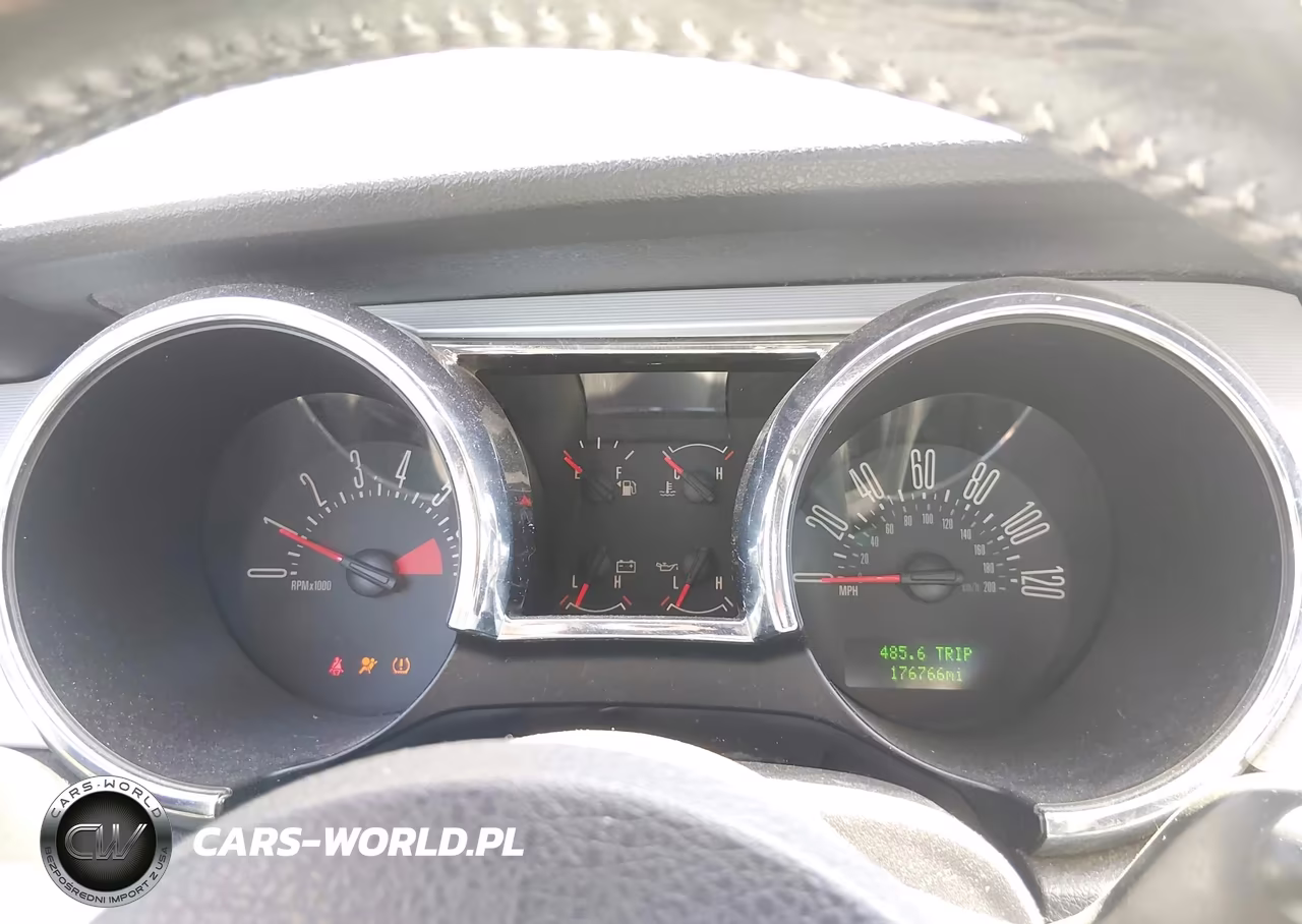 2008 Ford Mustang V6 Deluxe-V6 Premium VIN:1ZVHT80N585154672 - 7