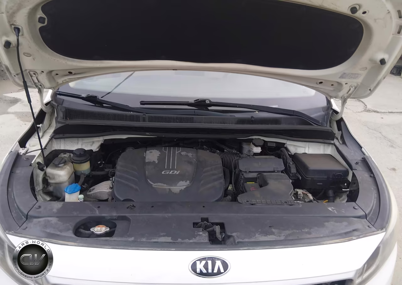2016 Kia Sedona Lx VIN:KNDMB5C14G6131615 - 10