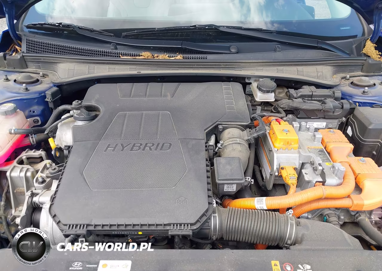2023 Hyundai Elantra Hybrid Limited VIN:KMHLN4AJ3PU088683 - 10