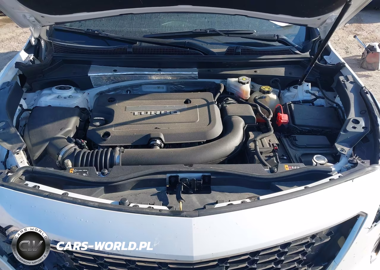 2019 Cadillac Xt4 Premium Luxury VIN:1GYFZDR41KF148469 - 10