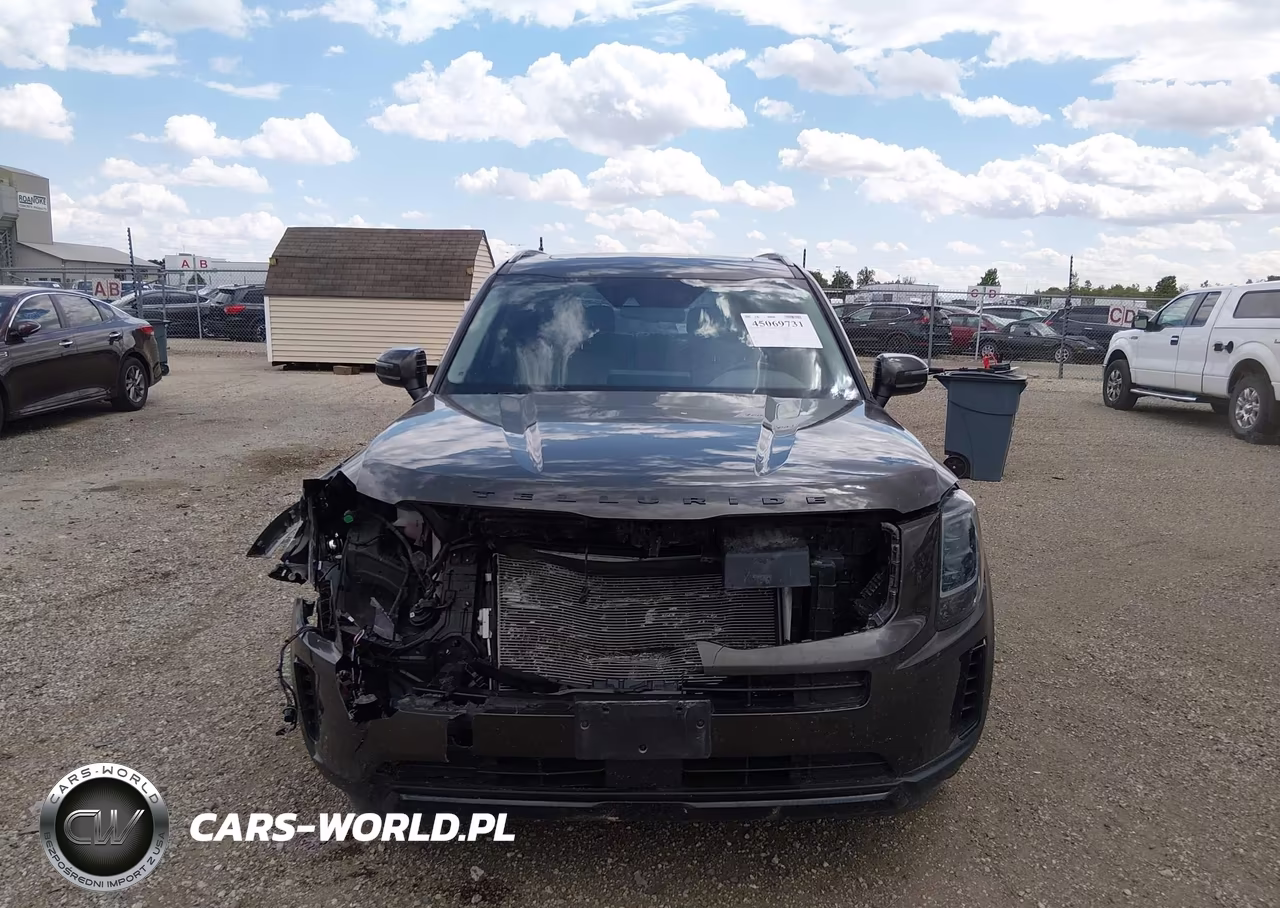 2021 Kia Telluride Ex VIN:5XYP3DHC6MG178989 - 12