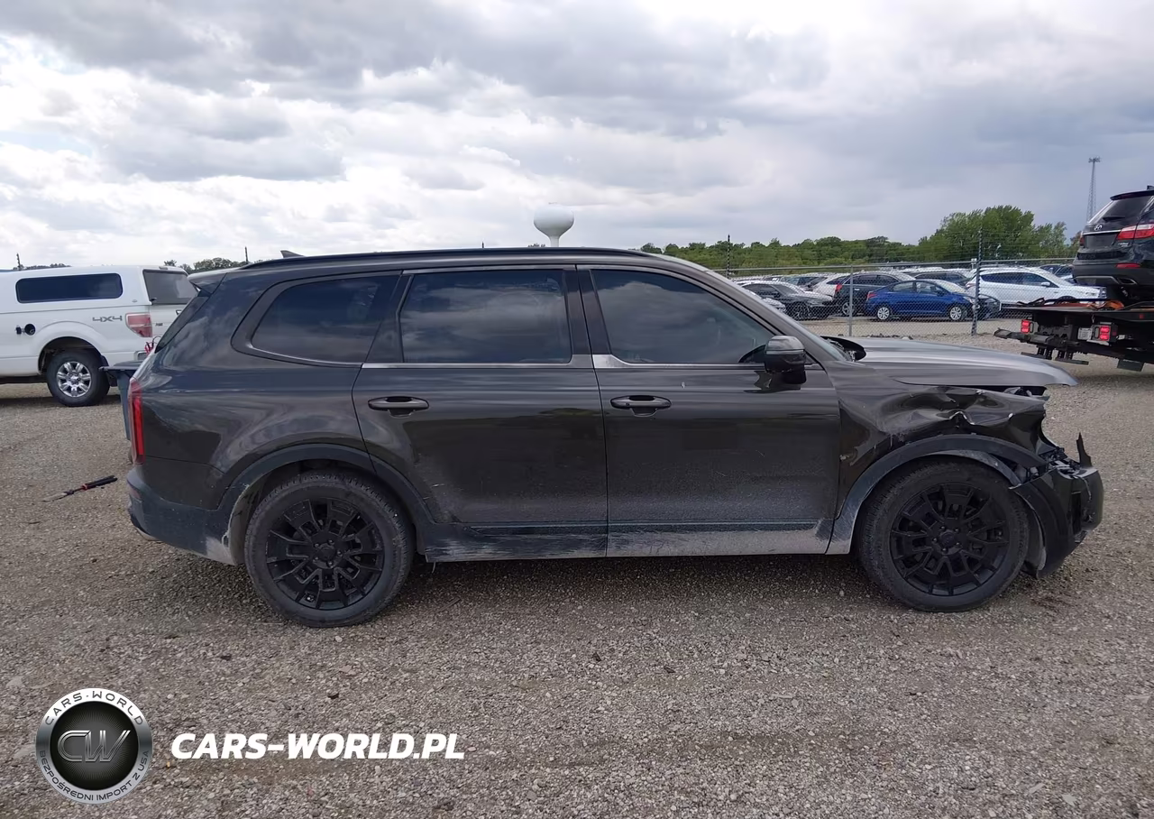 2021 Kia Telluride Ex VIN:5XYP3DHC6MG178989 - 13