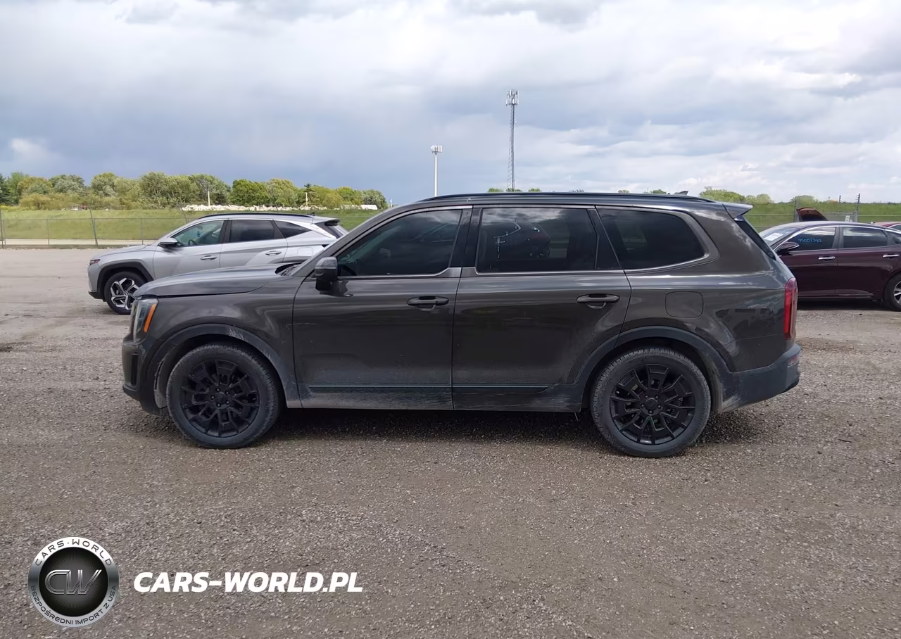 2021 Kia Telluride Ex VIN:5XYP3DHC6MG178989 - 14
