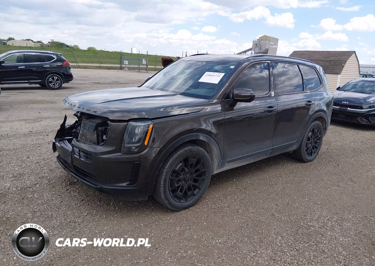 2021 Kia Telluride Ex VIN:5XYP3DHC6MG178989 - 2