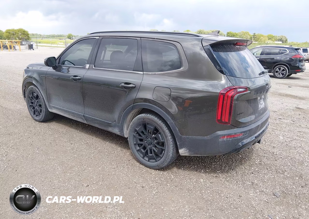 2021 Kia Telluride Ex VIN:5XYP3DHC6MG178989 - 3