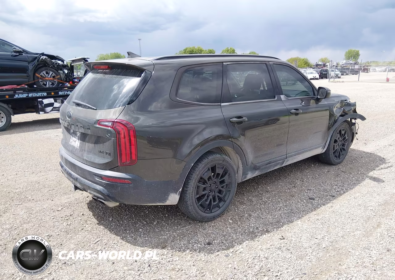2021 Kia Telluride Ex VIN:5XYP3DHC6MG178989 - 4