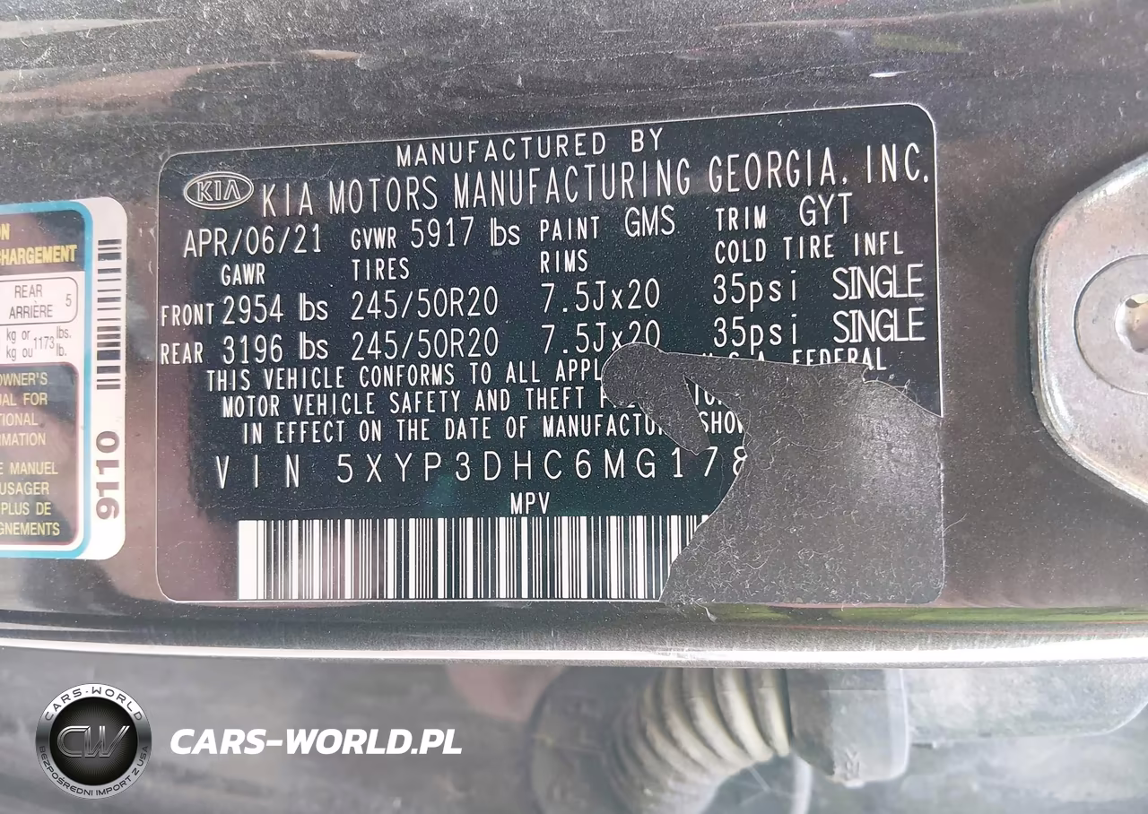2021 Kia Telluride Ex VIN:5XYP3DHC6MG178989 - 9