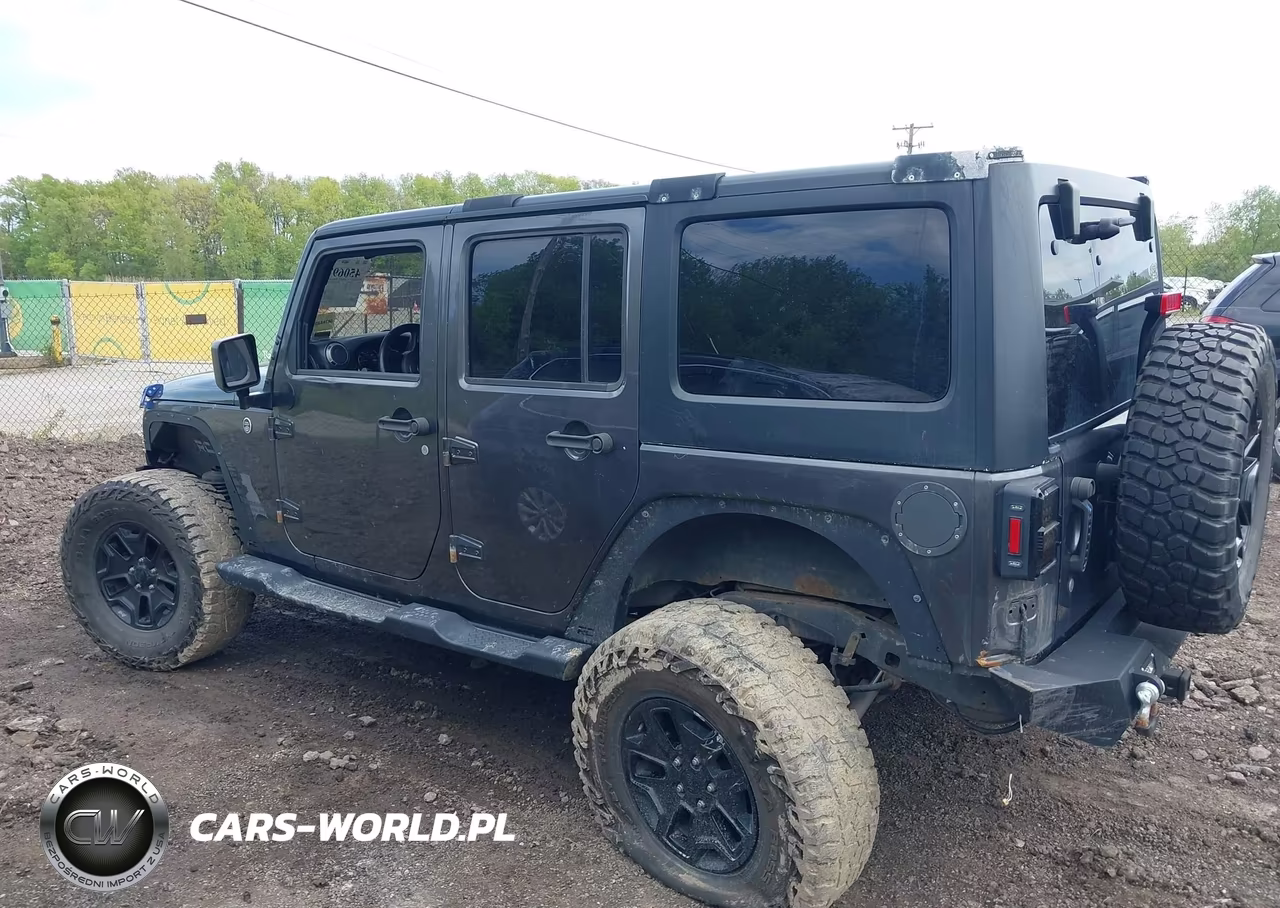 2016 Jeep Wrangler Unlimited Willys Wheeler VIN:1C4BJWDG4GL206026 - 14