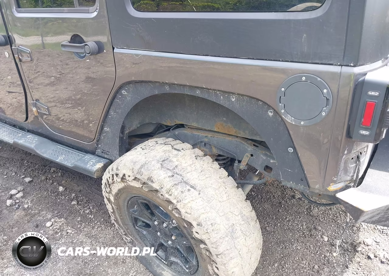 2016 Jeep Wrangler Unlimited Willys Wheeler VIN:1C4BJWDG4GL206026 - 6