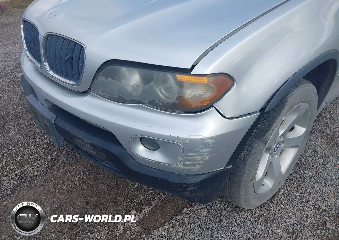 2004 BMW X5 3.0I VIN:5UXFA13594LU28835 - 19