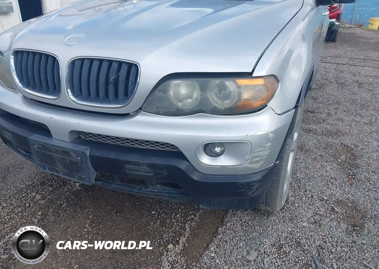 2004 BMW X5 3.0I VIN:5UXFA13594LU28835 - 20