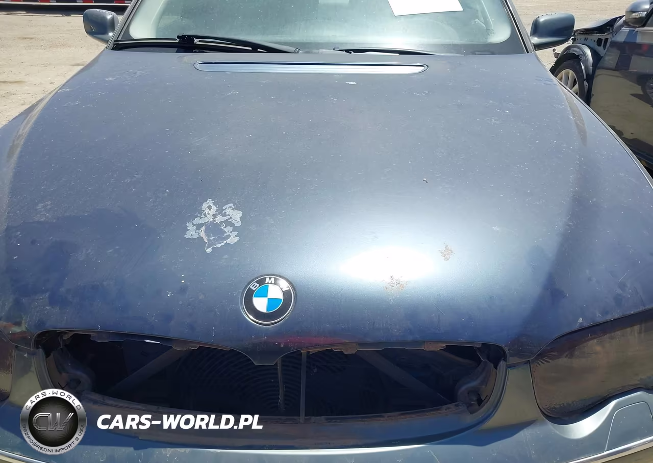 2003 BMW 745Li VIN:WBAGN63473DR16086 - 10