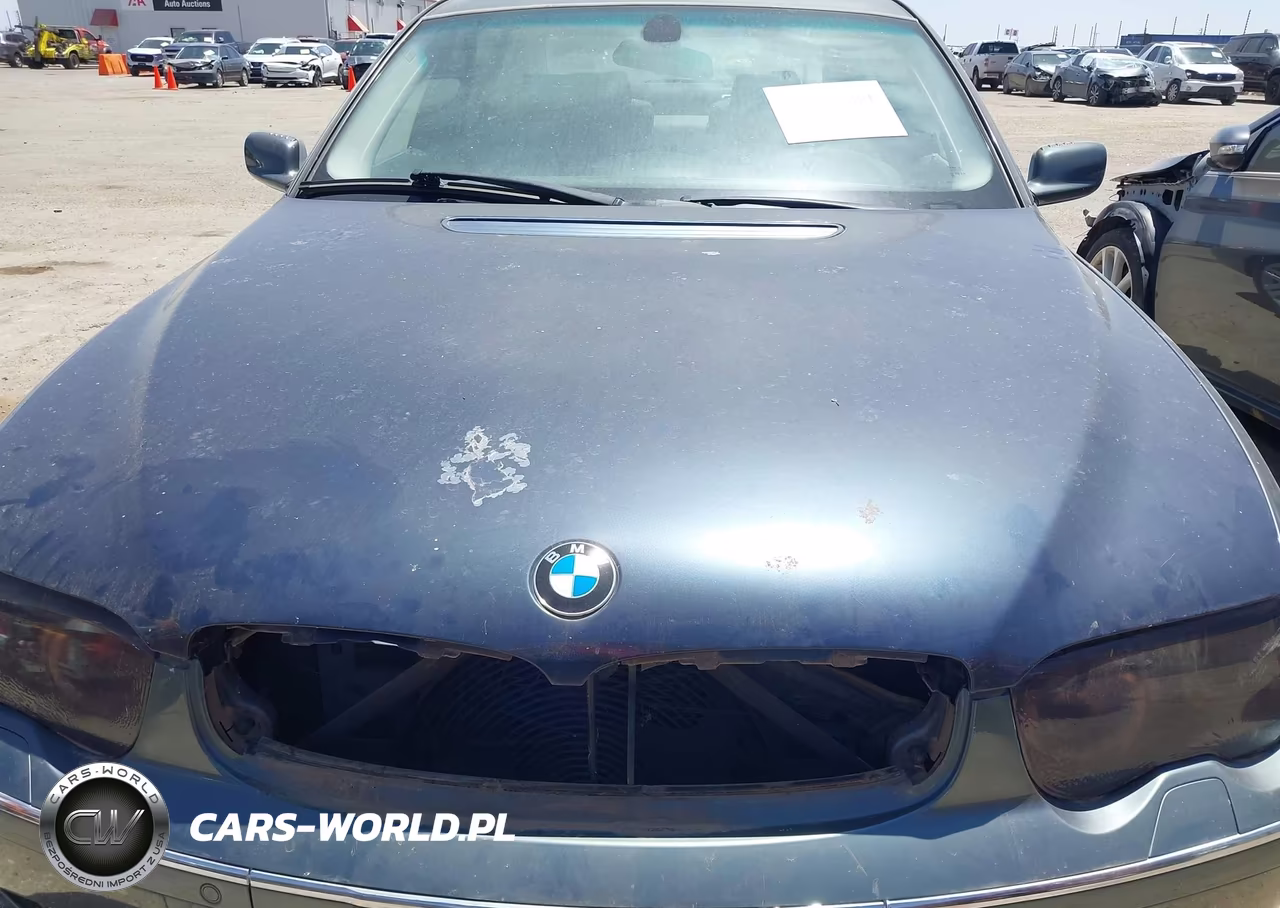 2003 BMW 745Li VIN:WBAGN63473DR16086 - 6