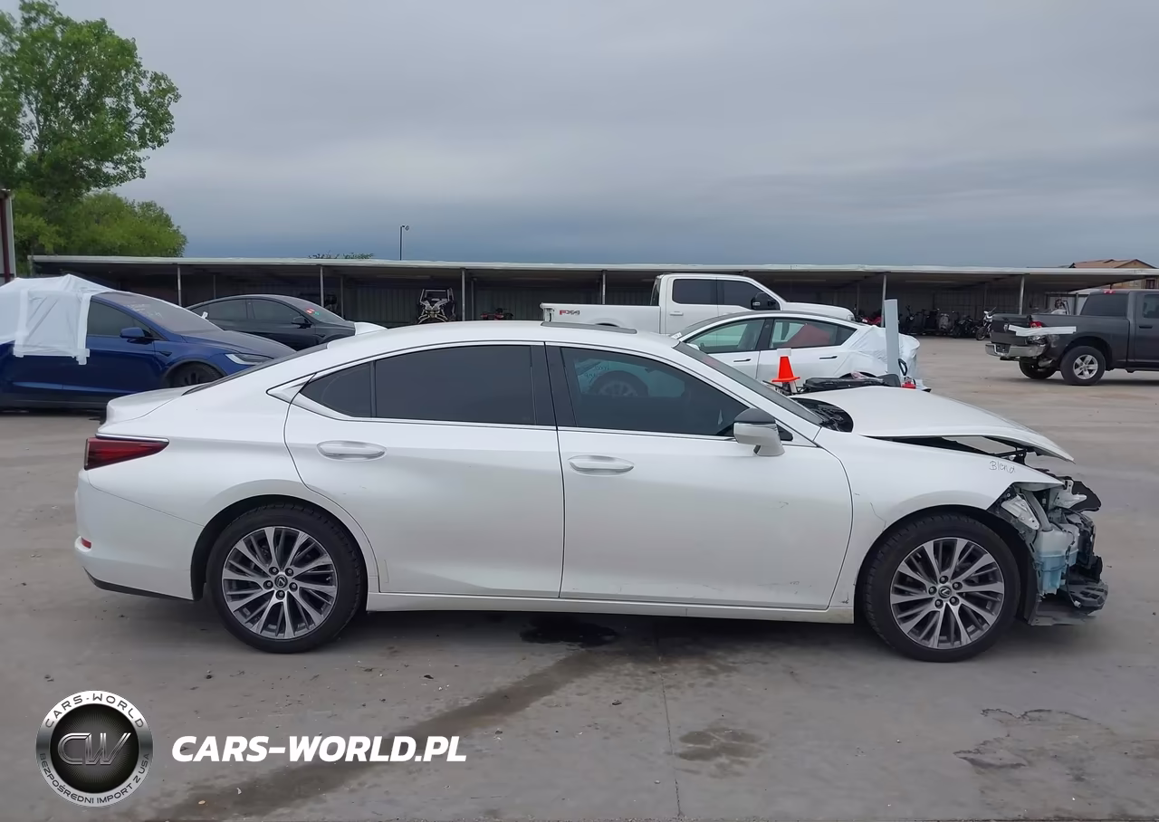 2019 Lexus Es 350 VIN:58ABZ1B19KU039843 - 14