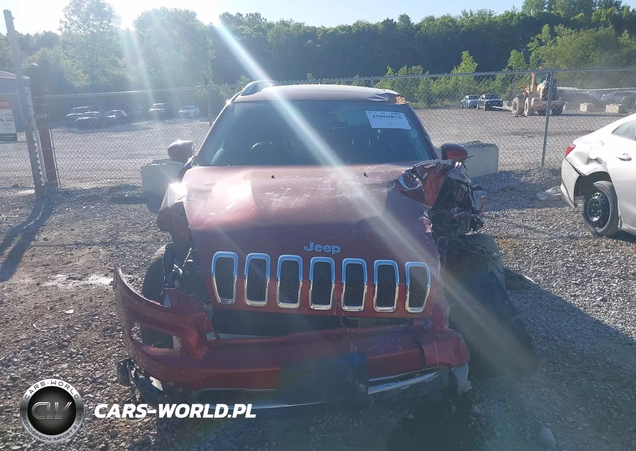 2017 Jeep Cherokee Limited 4X4 VIN:1C4PJMDS5HD217269 - 13