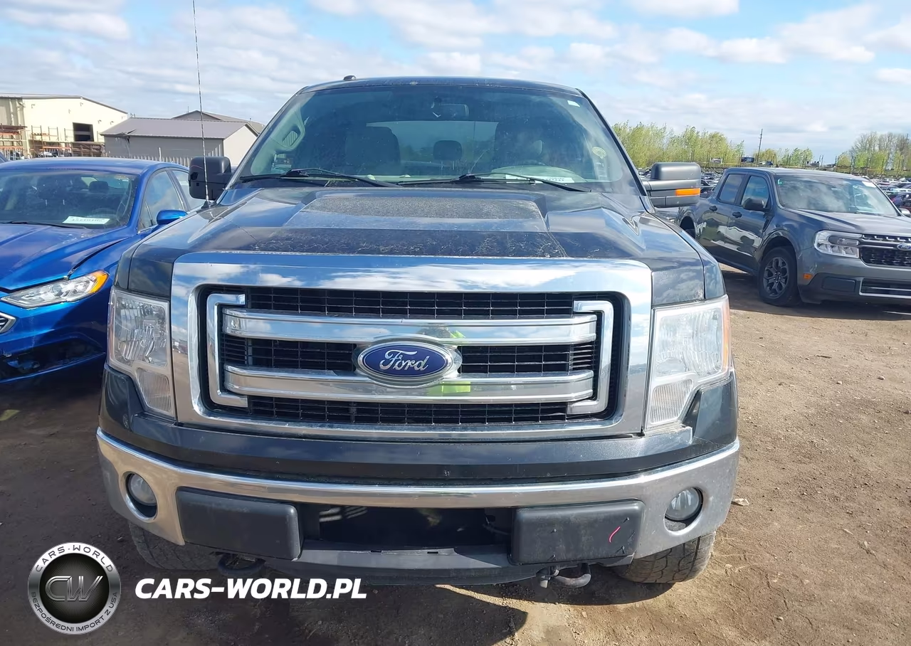 2014 Ford F-150 Xlt VIN:1FTFX1EF7EFB20522 - 12