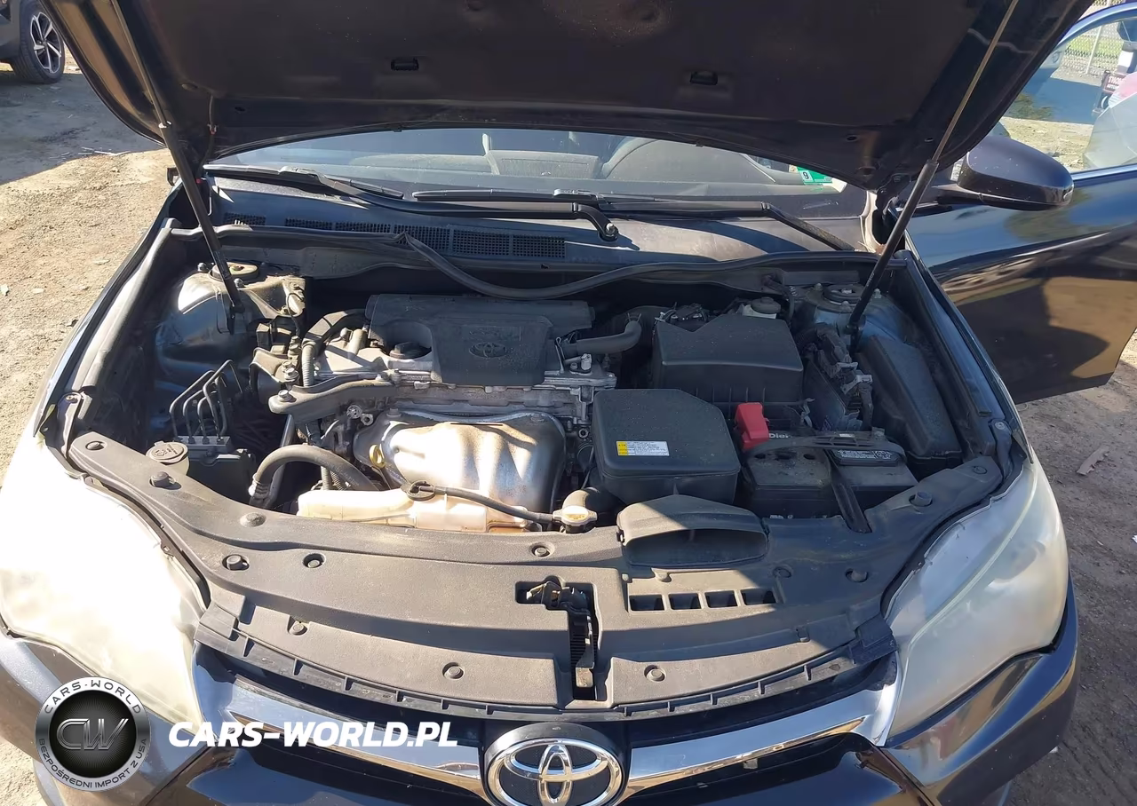 2016 Toyota Camry Se VIN:4T1BF1FK9GU255380 - 10