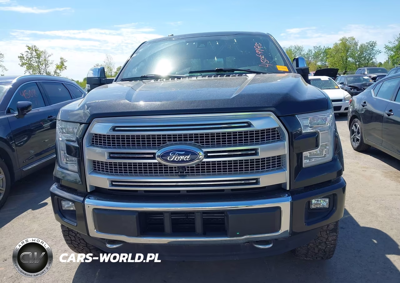 2015 Ford F-150 Platinum VIN:1FTEW1EGXFFB89133 - 12