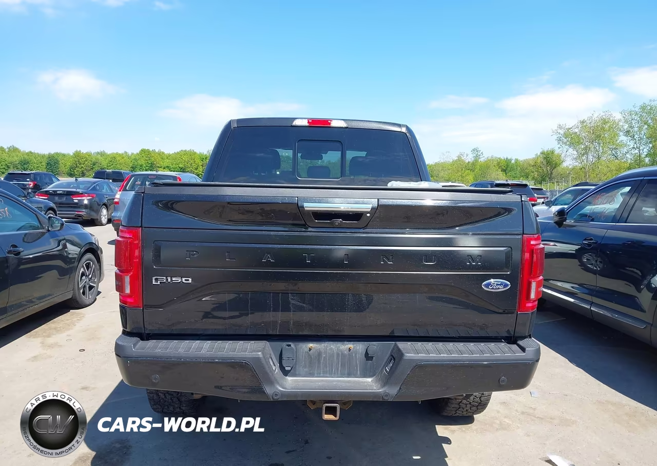 2015 Ford F-150 Platinum VIN:1FTEW1EGXFFB89133 - 16