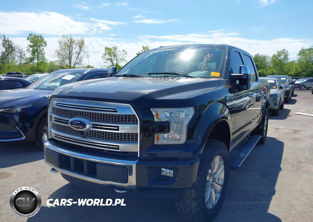 2015 Ford F-150 Platinum VIN:1FTEW1EGXFFB89133 - 2