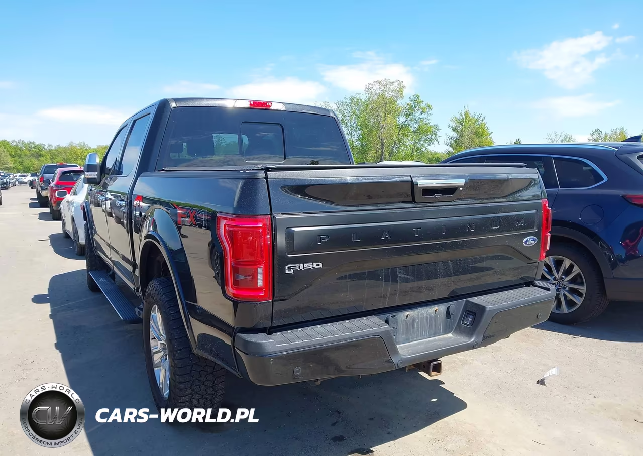 2015 Ford F-150 Platinum VIN:1FTEW1EGXFFB89133 - 3