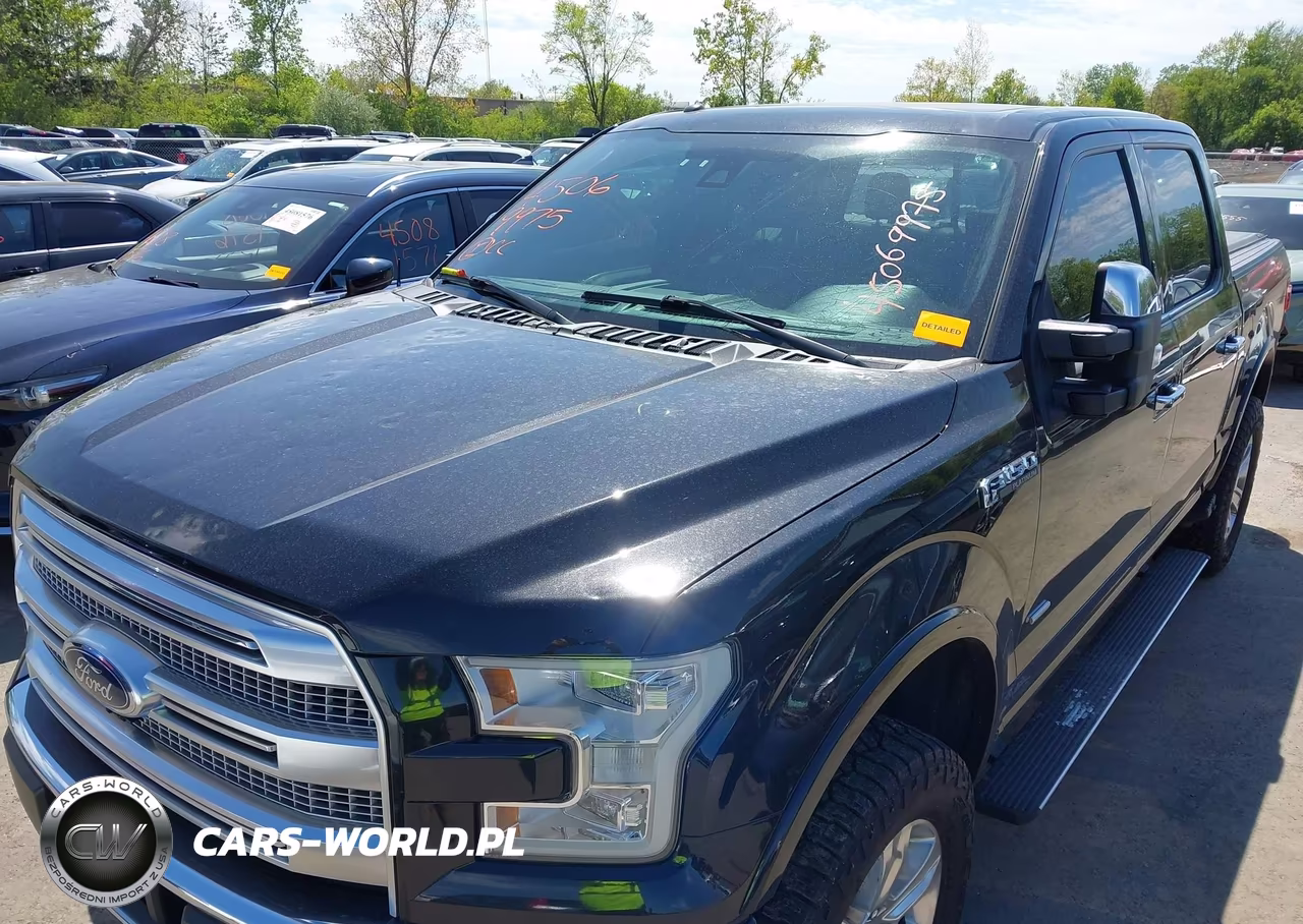 2015 Ford F-150 Platinum VIN:1FTEW1EGXFFB89133 - 6